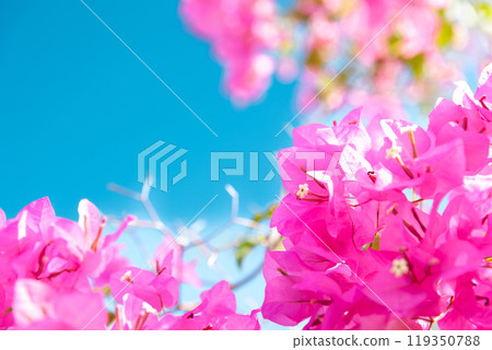 Fukushuen Garden in Kume, Naha City 119350788