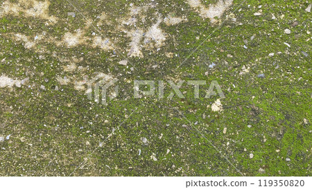 concrete wall abstract background texture cement grey gray backdrop old. design grunge rough art surface floor empty stone retro white textured wallpaper decorative light weathered interior pattern. 119350820