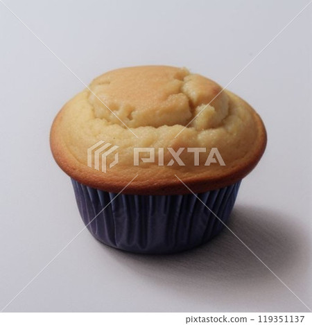 Delicious Plain Muffin 119351137
