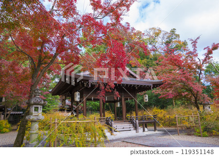Hagi and autumn leaves at Nashinoki Shrine in Kyoto Hagi and autumn leaves at Nashinoki Shrine in Kyoto 119351148