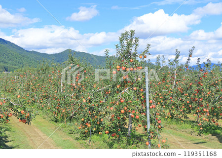 （秋天的安曇野，北阿爾卑斯山腳下的蘋果園 119351168