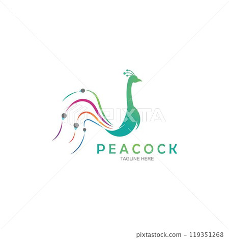 Peacock logo design vector template 119351268