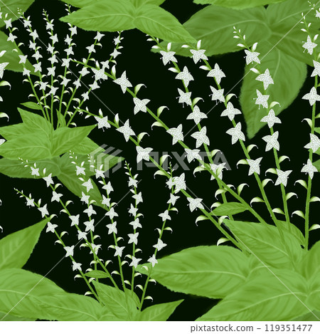 Seamless pattern with wildflower white water hyacinth in bloom Seamless pattern with wildflower white water hyacinth in bloom 119351477