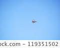 Misawa Air Show F-35A 119351502