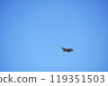 Misawa Air Show F-35A 119351503