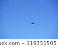 Misawa Air Show F-35A 119351505