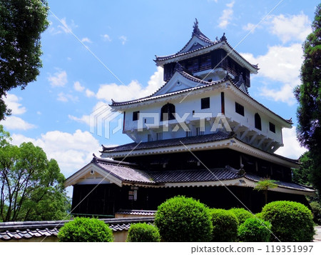 Iwakuni Castle (Iwakuni City, Yamaguchi Prefecture) 119351997