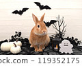 兔子萬聖節 119352175