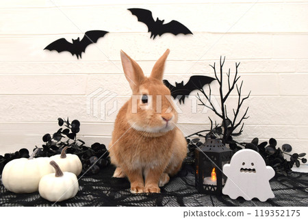 兔子萬聖節 119352175