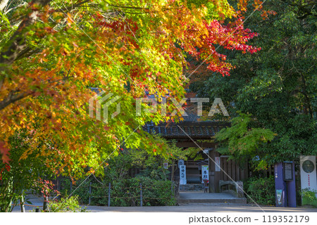 Autumn leaves at Ujigami Shrine in Kyoto 119352179