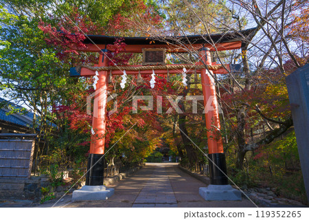 Autumn leaves at Ujigami Shrine in Kyoto 119352265