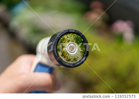 Algae-like growth on the tip of a watering hose 119352573