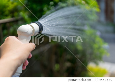 Watering the garden 119352579