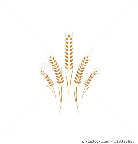 Agriculture wheat Logo Template vector 119352685