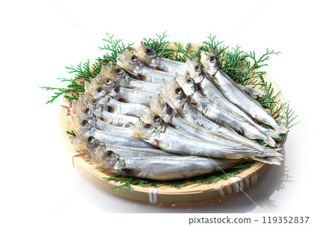 籃子上的什沙莫 119352837