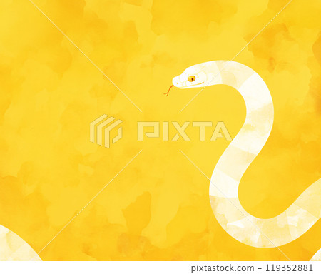 A snake 119352881
