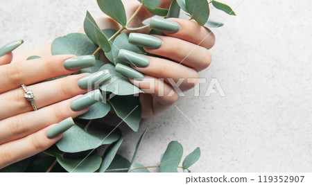 Elegant hands with long, mint green nails delicately hold fresh eucalyptus leaves against a light 119352907
