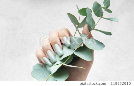 Elegant hands showcasing gray-green nails while holding fresh eucalyptus stems against a soft Elegant hands showcasing gray-green nails while holding fresh eucalyptus stems against a soft 119352910