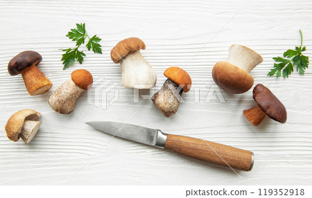 Freshly harvested mushrooms arranged on a wooden surface with a knife and green parsley Freshly harvested mushrooms arranged on a wooden surface with a knife and green parsley 119352918
