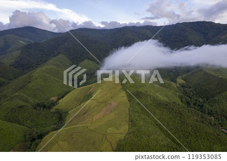 Landscape of Morning Mist with Mountain Layer at north of Thailand. mountain ridge and clouds in rural jungle bush forest Landscape of Morning Mist with Mountain Layer at north of Thailand. mountain ridge and clouds in rural jungle bush forest 119353085