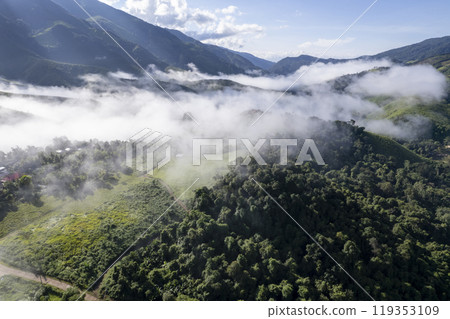 Landscape of Morning Mist with Mountain Layer.  mountain ridge and clouds in rural jungle bush forest 119353109