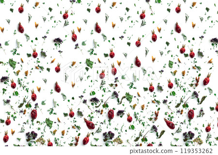 Pattern Pattern 119353262