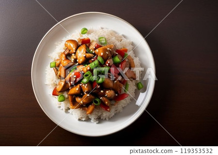 Rice with Kung Pao Chicken Top View 119353532