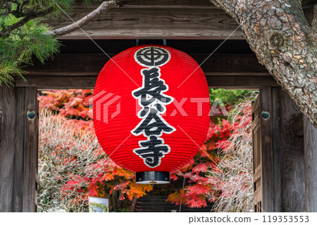 [Kanagawa Prefecture] Kamakura's Hasedera Temple with its striking red lanterns 119353553