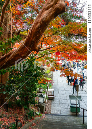 【神奈川縣】鎌倉的長谷寺，秋葉美麗明亮 119353555