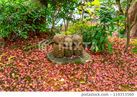 [Kanagawa Prefecture] Jizo of Good Relationships amid the autumn leaves in the grounds of Hasedera Temple 119353560