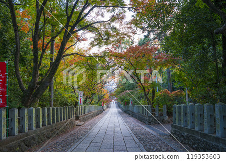 京都向日神社參道 京都向日神社參道 119353603