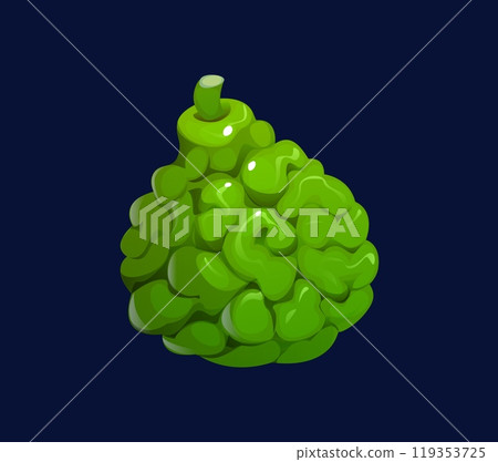 Cartoon bergamot fruit, isolated vector fresh citrus bergamia tropical plant. Whole natural exotic fruit with wrinkled green peel. Ripe healthy organic product with citrusy aroma and natural vibrancy Cartoon bergamot fruit, isolated vector fresh citrus bergamia tropical plant. Whole natural exotic fruit with wrinkled green peel. Ripe healthy organic product with citrusy aroma and natural vibrancy 119353725