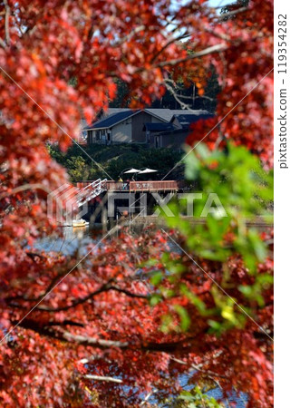 Autumn leaves of Lake Miyazawa 119354282