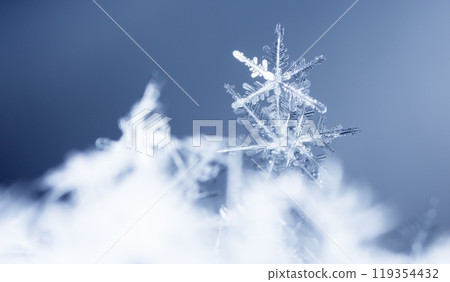 snowflakes, winter card, crystals of snow snowflakes, winter card, crystals of snow 119354432