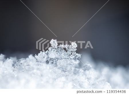 snowflakes, winter card, crystals of snow snowflakes, winter card, crystals of snow 119354436