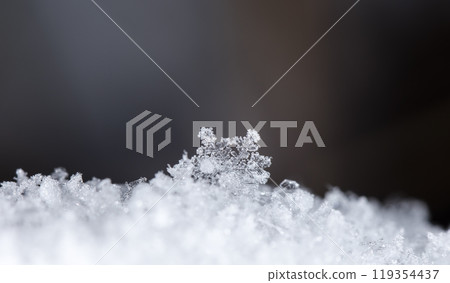 snowflakes, winter card, crystals of snow 119354437