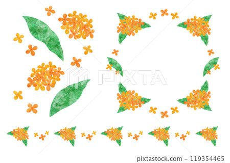 Osmanthus Osmanthus 119354465