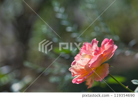 湯裡之裡公園的秋天 湯裡之裡公園的秋天 119354690