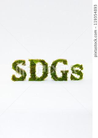 SDGs letters made from preserved moss SDGs letters made from preserved moss 119354893