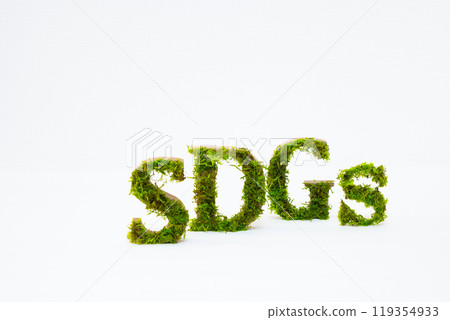 SDGs letters made from preserved moss 119354933
