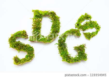 由保存的苔蘚製成的永續發展目標字母 119354945