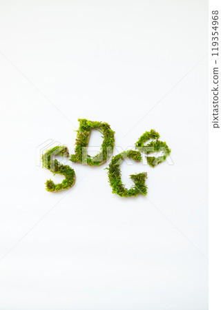 由保存的苔蘚製成的永續發展目標字母 119354968