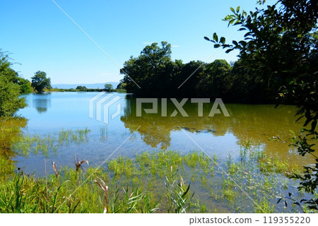 Scenery of the pond at Umami Hill Park 119355220