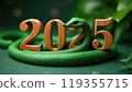 Green snake lies on the numbers of 2025. Symbol of the coming New Year 119355715