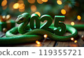 Green snake lies on the numbers of 2025. Symbol of the coming New Year 119355721