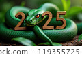 Green snake lies on the numbers of 2025. Symbol of the coming New Year 119355725