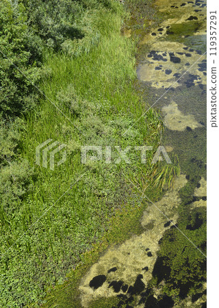 Cetina river Cetina river 119357291