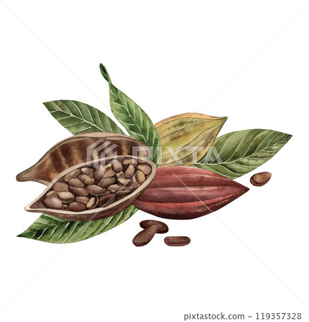 Cocoa beans, whole and cut with grains inside, lie on green leaves. The illustration is hand-painted in watercolor in a botanical style in brown and yellow shades. For packaging design, cosmetics Cocoa beans, whole and cut with grains inside, lie on green leaves. The illustration is hand-painted in watercolor in a botanical style in brown and yellow shades. For packaging design, cosmetics 119357328