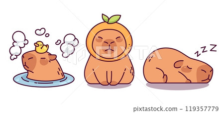 Cute capybara in different poses. 119357779