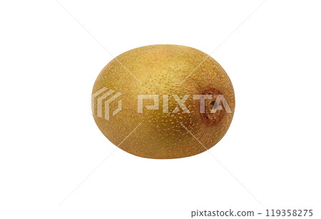 金色奇異果插畫寫實 119358275